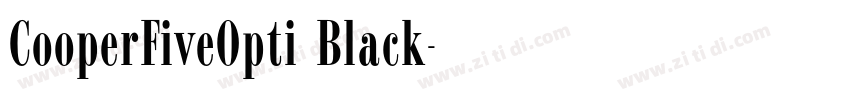 CooperFiveOpti Black字体转换